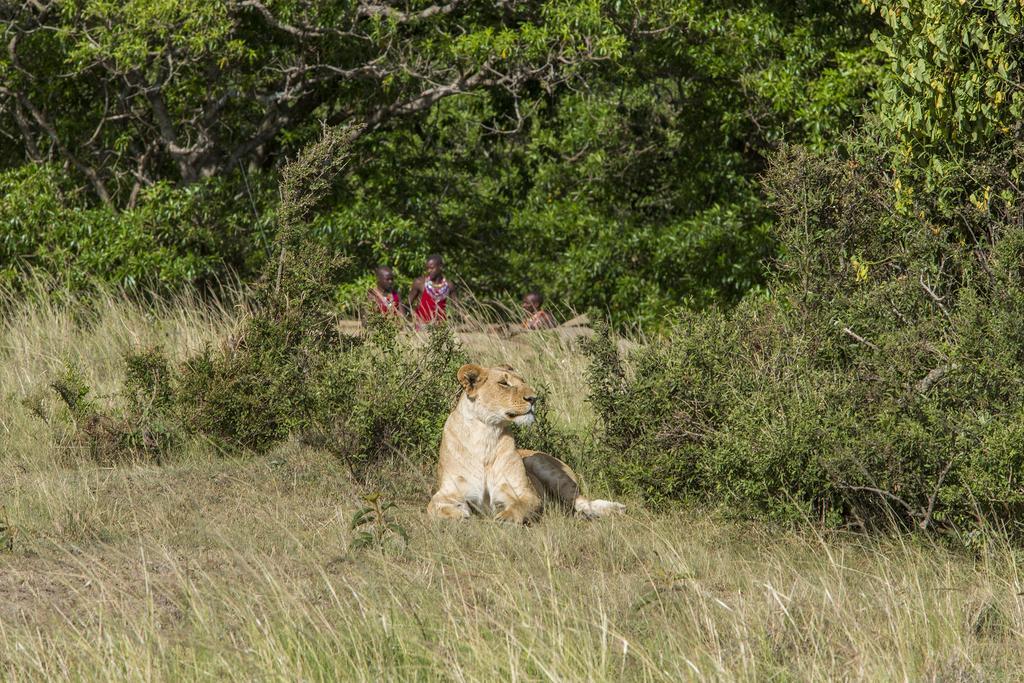 Mara Engai Lodge Lolgorien Εξωτερικό φωτογραφία